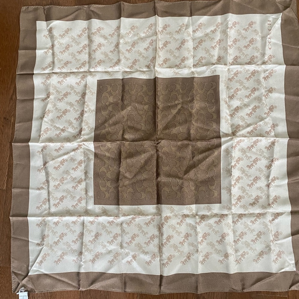 Elegant Brown and Cream Scarf